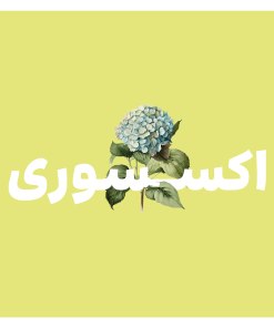 اکسسوری