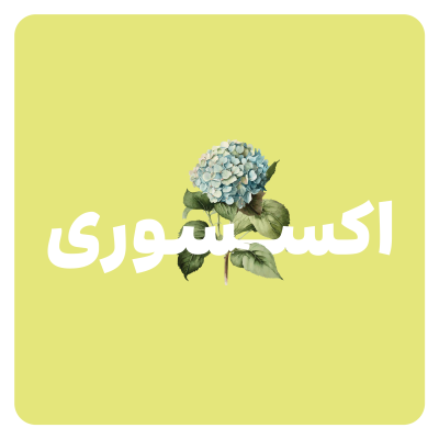 اکسسوری