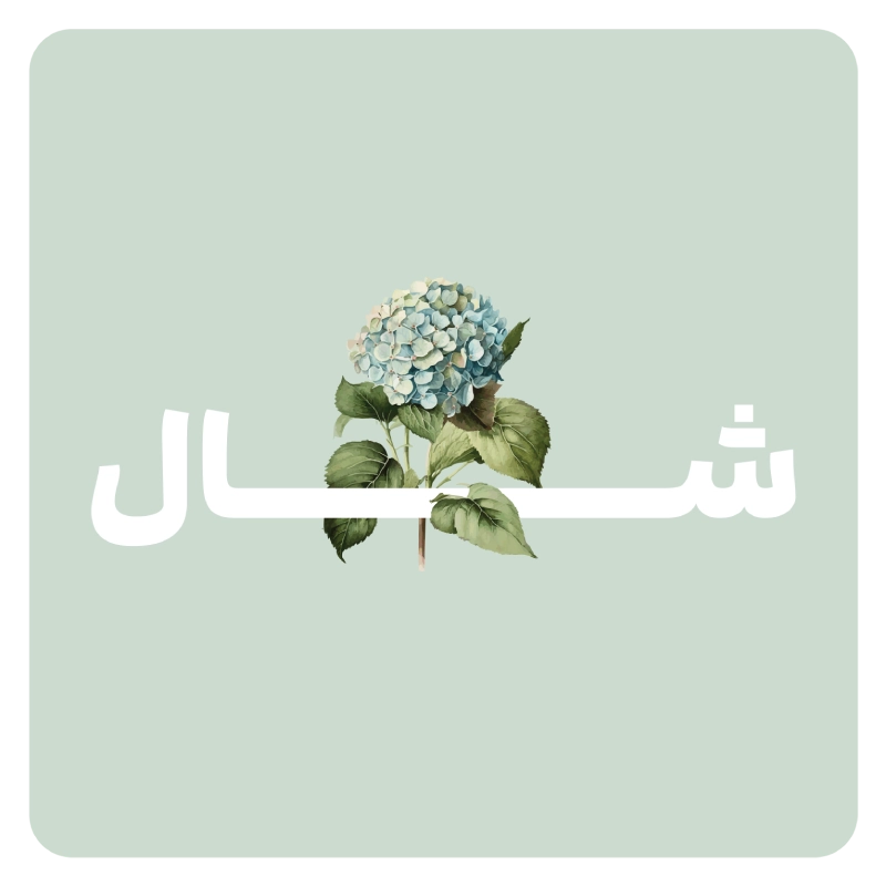 خرید شال ماکا استایل